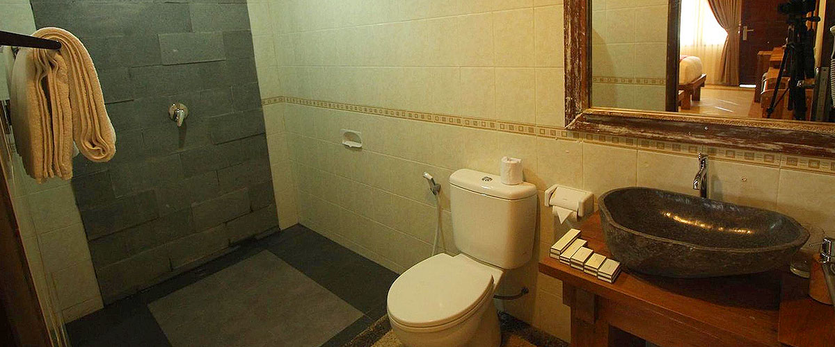 Superior Room - Bathroom